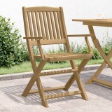 Scaune grădină pliante 2 buc. 58x54,5x90 cm lemn masiv acacia