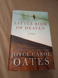 Cumpara ieftin Little Bird of Heaven: A Novel Hardcover - A Novel, 2009, Alta editura