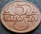 Moneda istorica 5 GROSZY - POLONIA, anul 1931 *cod 4616 = RARA!