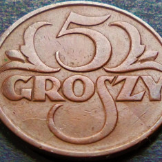 Moneda istorica 5 GROSZY - POLONIA, anul 1931 *cod 4616 = RARA!