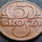 Moneda istorica 5 GROSZY - POLONIA, anul 1931 *cod 4616 = RARA!