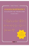 Analiza matematica - Clasa 12 - Culegere de probleme - Andrei Vernescu