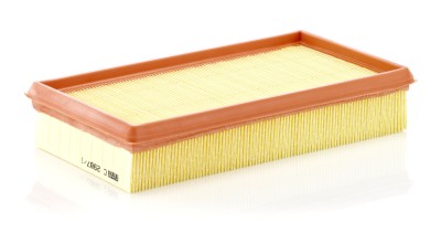 MANN-FILTER C 2987/1 Filtru aer foto