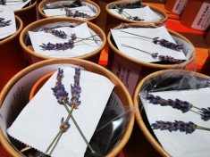 Kit de plantare cu seminte personalizabil - cadou corporate, marturii foto