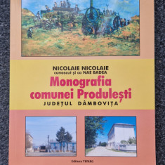MONOGRAFIA COMUNEI PRODULESTI - Nicolae Nicolae