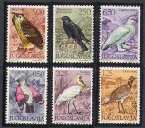 Iugoslavia 1972 - Păsări, fauna, serie neuzata