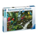 Cumpara ieftin Puzzle Ravensburger - Papagali in jungla, 2000 piese