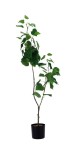 Cumpara ieftin Planta artificiala verde in ghiveci 12,5 x 110 cm