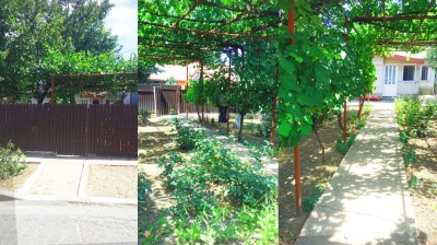 Casă bătr&amp;acirc;nească + teren generos 783mp Cumpăna 92.000 (negociabil) foto