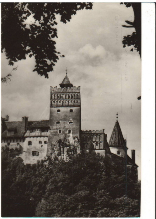 CPIB 15963 CARTE POSTALA - BRAN. CETATEA