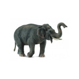 Collecta - Figurina Elefant Asiatic XL