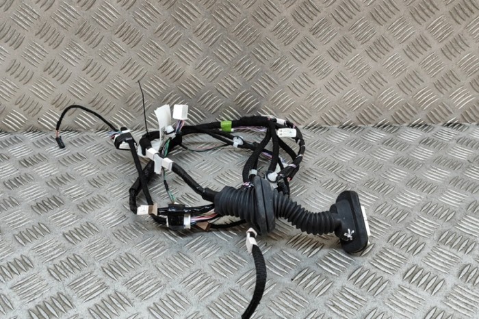 Cablaj ușă st&acirc;nga spate LEXUS RX _LA1_, _LH1_ 2022 OEM: 82154-48270 27293556