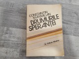 Drumurile sperantei de Constantin Maximilian