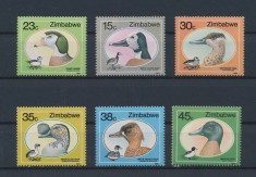 ZIMBABWE 1988--pasari-RATE-Serie completa de 6 timbre nestampilate