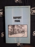 Mihail E. Ionescu , Radu Ioanid, Tuvia Friling - Raport final