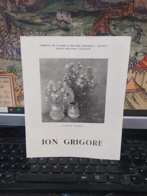 Ion Grigore pliant, expoziție Galeriile de artă Fălticeni, noiembrie 1989, 152 foto