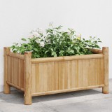 Jardiniera Gossi bambus 50x30x25cm maro/argintiu/negru/gri/alb/verde/antracit - ghiveci gradina exterior/interior
