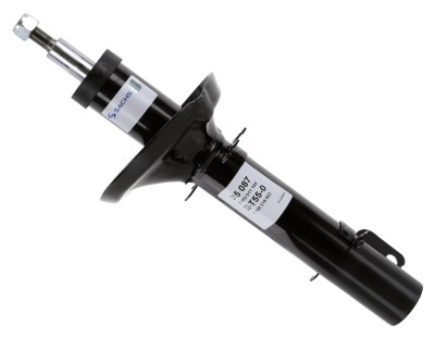 SACHS 315 087 amortizor foto