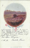 AMS* - CP GRUSS AUS SALZBURG, CIRCULATA, LITOGRAFIE 1898, Fotografie