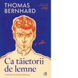 Ca taietorii de lemne. O iritare - Daniela Stefanescu, Thomas Bernhard