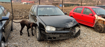 Dezmembrez Volkswagen Golf 4 foto