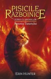 Pisicile războinice. Zorii clanurilor. Puterea tunetului (Vol.26) - Erin Hunter