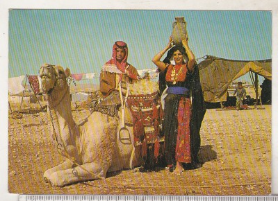 bnk cp Israel - Beduini langa cort - uzata foto