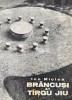 Ion Miclea, Br&acirc;ncuşi at T&acirc;rgu Jiu