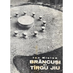 Ion Miclea, Br&acirc;ncuşi at T&acirc;rgu Jiu