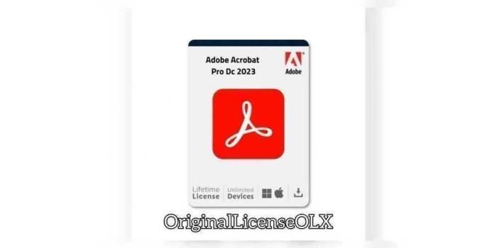 adobe acrobat pro dc 2023 licență permanentă pe viață pdf editare soft