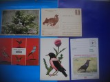 HOPCT LOT NR 373 PASARI DIN ROMANIA -5 CARTI POSTALE-NECIRCULATE