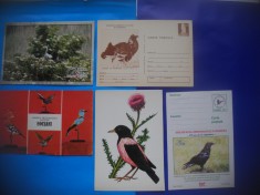 HOPCT LOT NR 373 PASARI DIN ROMANIA -5 CARTI POSTALE-NECIRCULATE