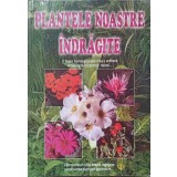PLANTELE NOASTRE INDRAGITE-GHEORGHE MOLDOVAN-237220