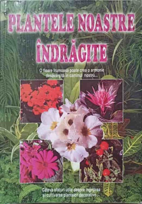 PLANTELE NOASTRE INDRAGITE-GHEORGHE MOLDOVAN