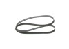 Curea transmisie caneluri Bosch 1 987 946 097 Citroen Fiat Honda Lancia Peugeot 206 306 406 806 Berlingo Boxer Ducato Evasion Expert Jumper