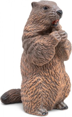 PAPO FIGURINA CASTOR foto