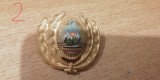 QW14 - Emblema militara / cuc - uscat - comunism - piesa de colectie