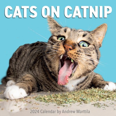 Cats on Catnip Wall Calendar 2024 foto