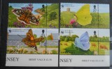 CN SERIE GUERNSEY FLUTURI