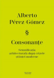 Consonante | Alberto Perez-Gomez, Fundatia Arhitext Design