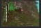 Foto  - 1