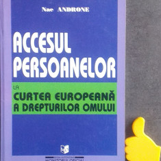 Accesul persoanelor la Curtea Europeana a drepturilor omului Nae Androne