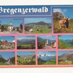 AT3 -Carte Postala-AUSTRIA- Bregenzerwald, necirculata