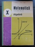 Matematică. Algebră. Manual pentru clasa a X-a - C. Năstăsescu, C. Niță