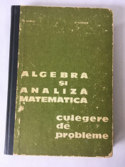 ALGEBRA SI ANALIZA MATEMATICA. Culegere de probleme - Flondor, Donciu (vol. 1) foto