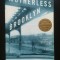 Jonathan Lethem - Motherless Brooklyn Orfani &icirc;n Brooklyn