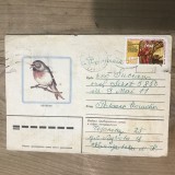 OPI Intreguri Postale Straine