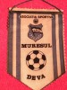Fanion fotbal - AS &quot;MURESUL&quot; DEVA