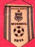 Fanion fotbal - AS &quot;MURESUL&quot; DEVA