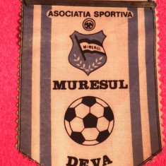 Fanion fotbal - AS "MURESUL" DEVA